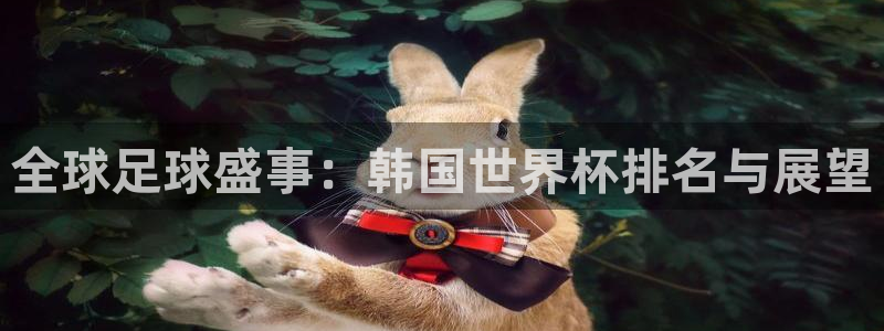 世界杯附加赛赛程表：全球足球盛事：韩国世界杯排名与展望