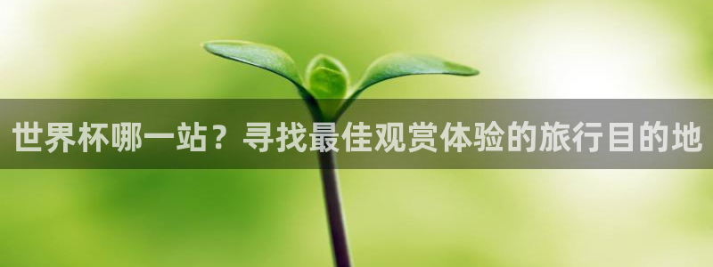 2026年世界杯：世界杯哪一站？寻找最佳观赏体验的旅行目的地