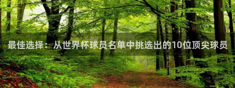 足球世界杯2026年赛程时间表：最佳选择：从世界杯球员名单中挑选出的10位顶尖球员