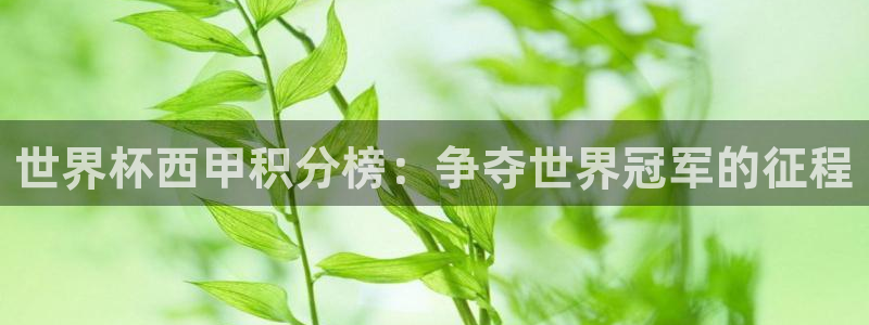 世界杯直播在线观看入口：世界杯西甲积分榜：争夺世界冠军的征程