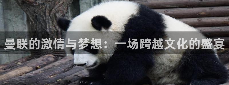 世界杯足球赛2026：曼联的激情与梦想：一场跨越文化的盛宴