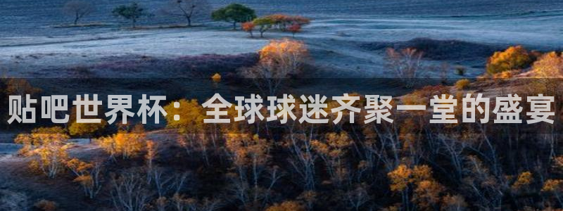 世界杯赛程2026：贴吧世界杯：全球球迷齐聚一堂的盛宴