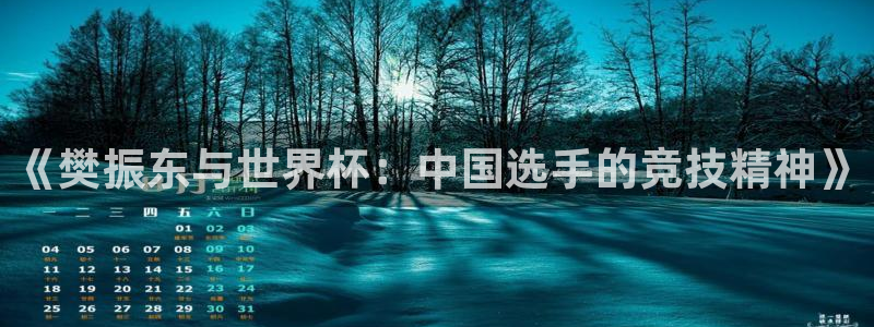 世界杯球赛：《樊振东与世界杯：中国选手的竞技精神》
