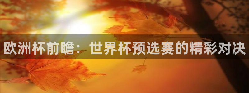 世界杯足球：欧洲杯前瞻：世界杯预选赛的精彩对决