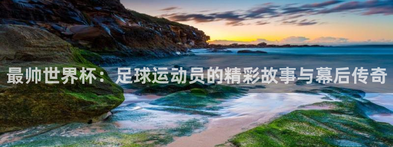 2026世界杯买球：最帅世界杯：足球运动员的精彩故事与幕后传奇