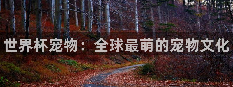 世界杯预选赛欧洲：世界杯宠物：全球最萌的宠物文化