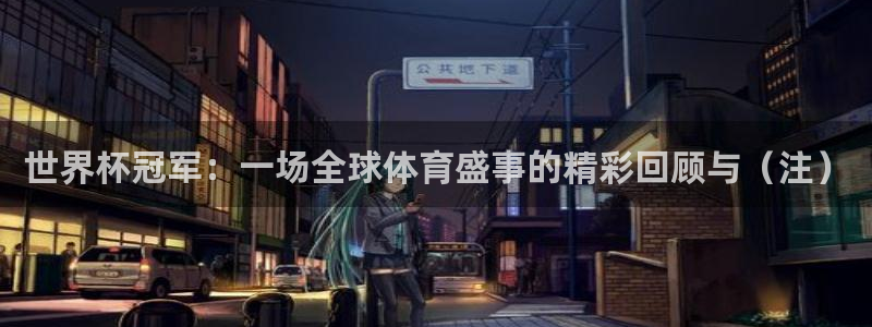 世界杯直播免费观看：世界杯冠军：一场全球体育盛事的精彩回顾与（注）
