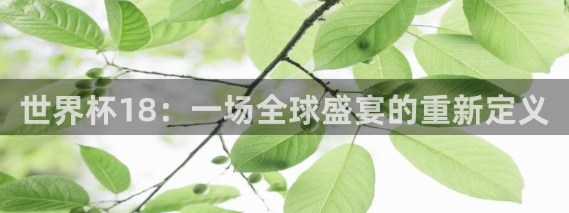 世界杯亚洲区预选赛赛程表：世界杯18：一场全球盛宴的重新定义