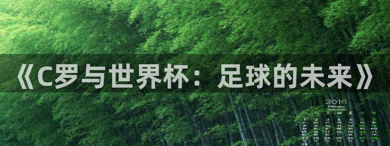 2026世界杯中国队：《C罗与世界杯：足球的未来》