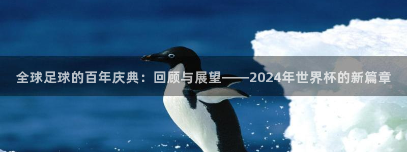 世界杯直播网：全球足球的百年庆典：回顾与展望——2024年世界杯的新篇章