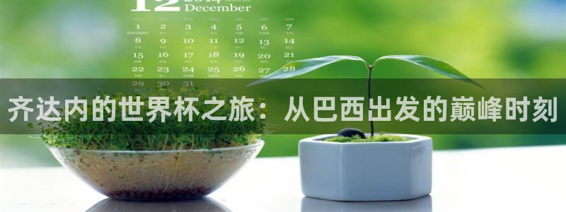 世界杯预选赛欧洲赛区赛程：齐达内的世界杯之旅：从巴西出发的巅峰时刻