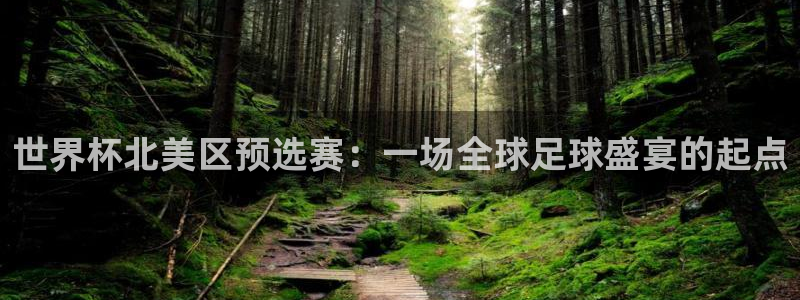 世界杯足球直播：世界杯北美区预选赛：一场全球足球盛宴的起点